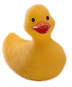 Rubber Duck